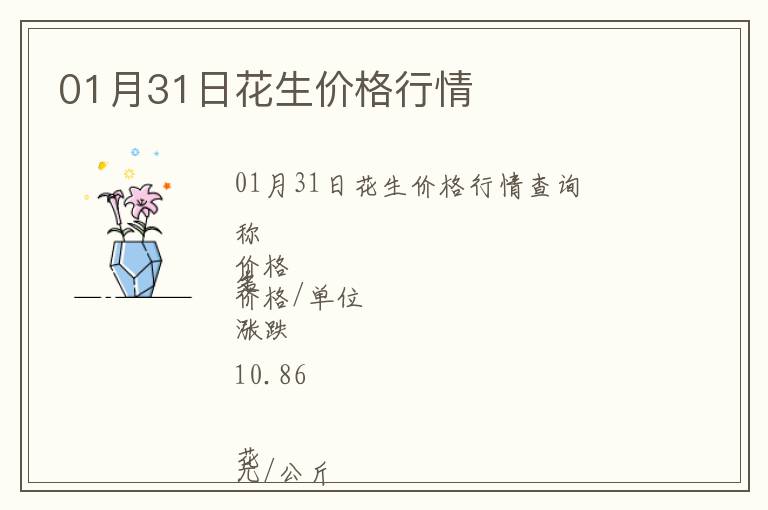 01月31日花生價格行情