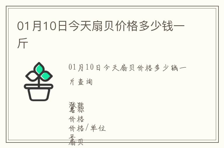 01月10日今天扇貝價(jià)格多少錢(qián)一斤