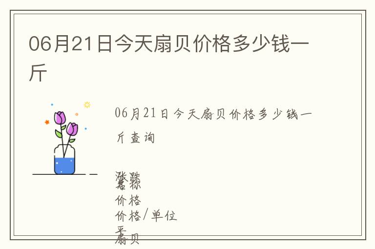 06月21日今天扇貝價格多少錢一斤