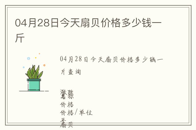 04月28日今天扇貝價(jià)格多少錢(qián)一斤