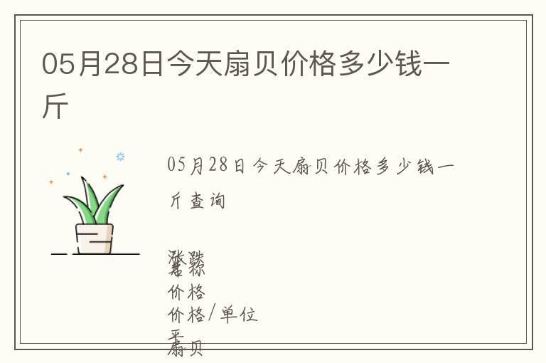 05月28日今天扇貝價(jià)格多少錢(qián)一斤