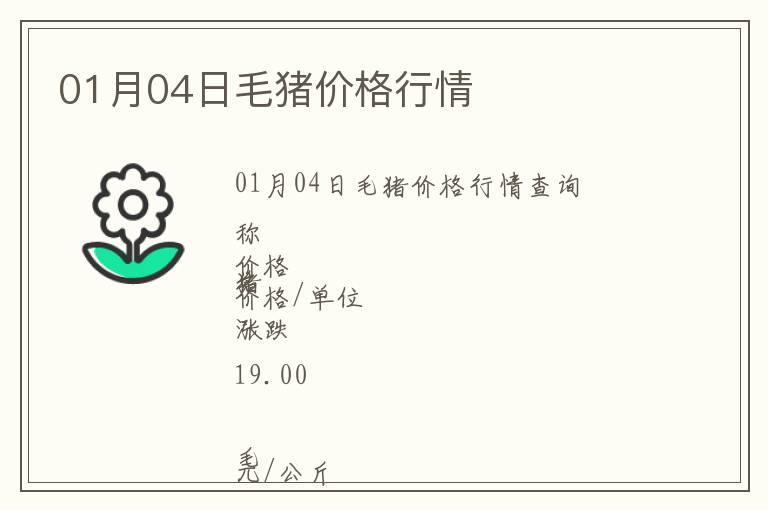01月04日毛豬價格行情