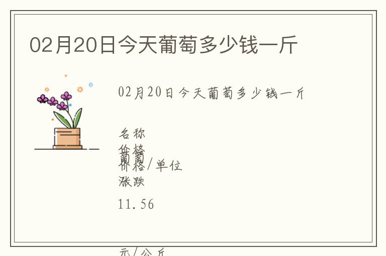 02月20日今天葡萄多少錢一斤