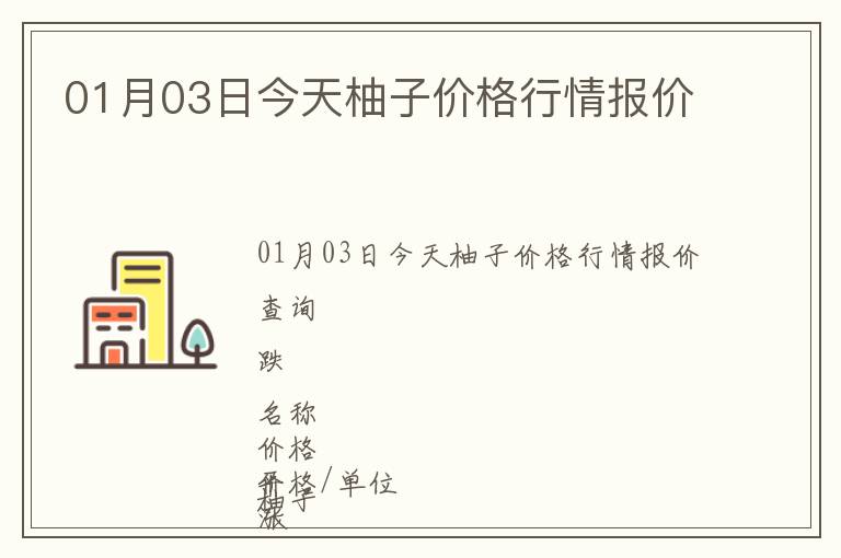 01月03日今天柚子價格行情報價