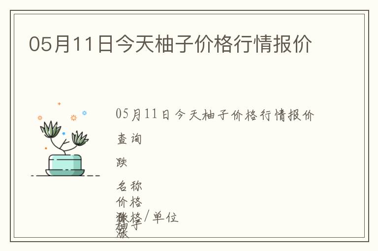 05月11日今天柚子價(jià)格行情報(bào)價(jià)