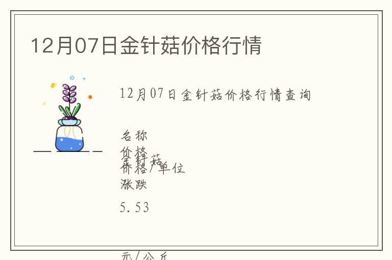 12月07日金針菇價格行情