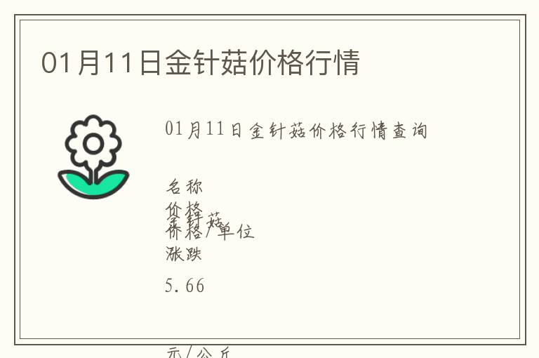 01月11日金針菇價格行情