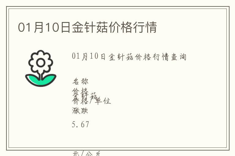 01月10日金針菇價格行情