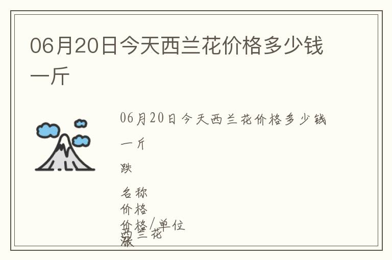 06月20日今天西蘭花價(jià)格多少錢一斤