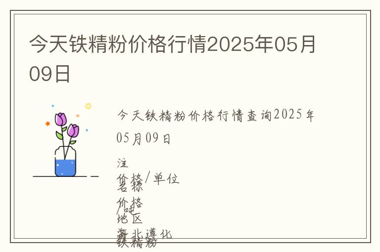 今天鐵精粉價格行情2025年05月09日