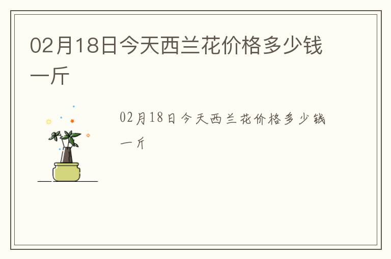02月18日今天西蘭花價格多少錢一斤