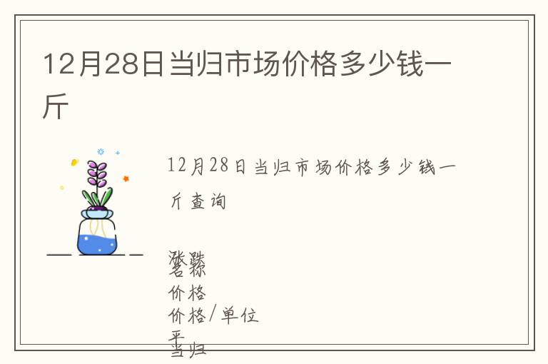 12月28日當(dāng)歸市場(chǎng)價(jià)格多少錢一斤