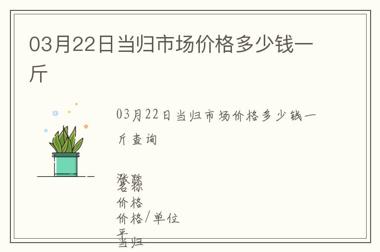 03月22日當歸市場價格多少錢一斤