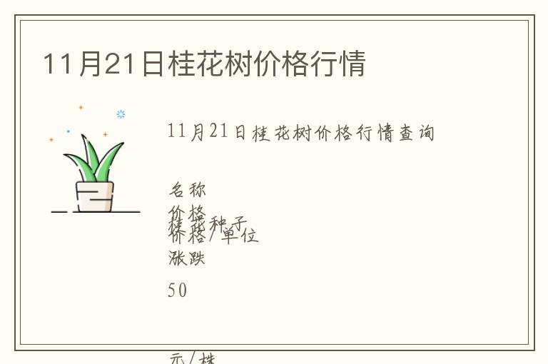 11月21日桂花樹價(jià)格行情