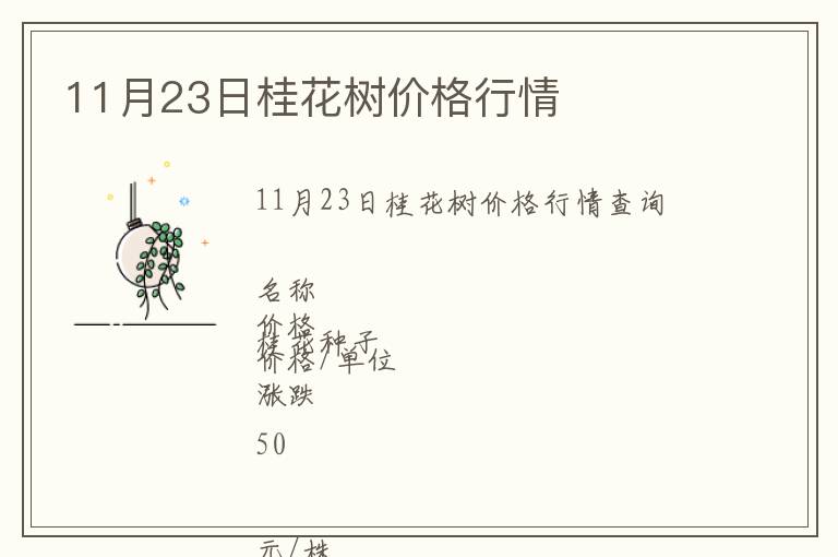 11月23日桂花樹價格行情