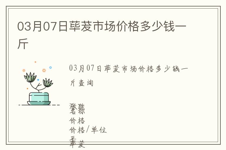 03月07日蓽茇市場價格多少錢一斤