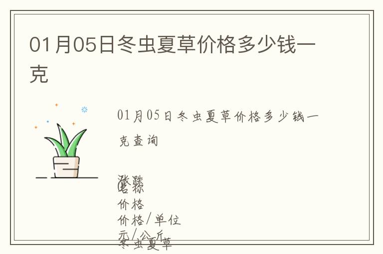 01月05日冬蟲夏草價格多少錢一克