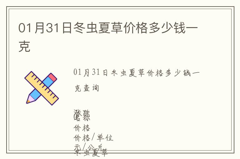 01月31日冬蟲夏草價格多少錢一克