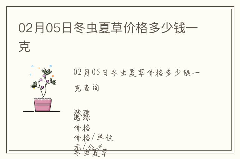 02月05日冬蟲夏草價格多少錢一克