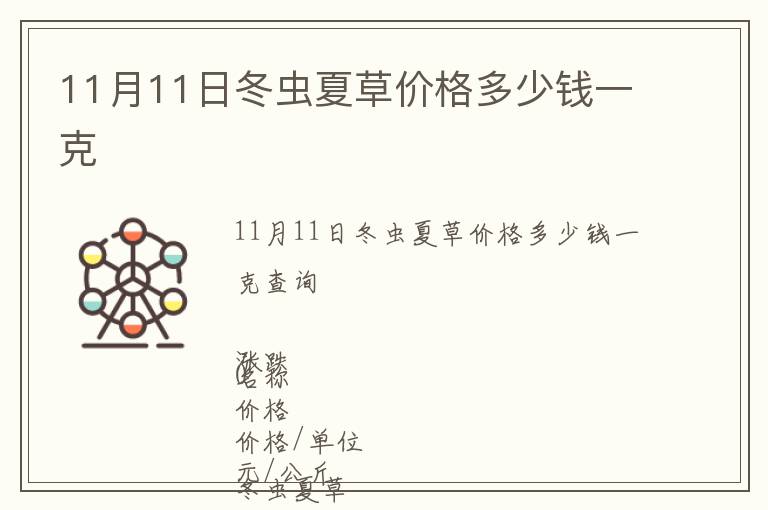 11月11日冬蟲夏草價格多少錢一克