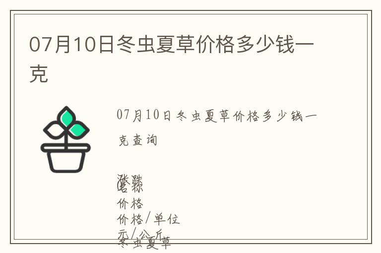 07月10日冬蟲夏草價格多少錢一克