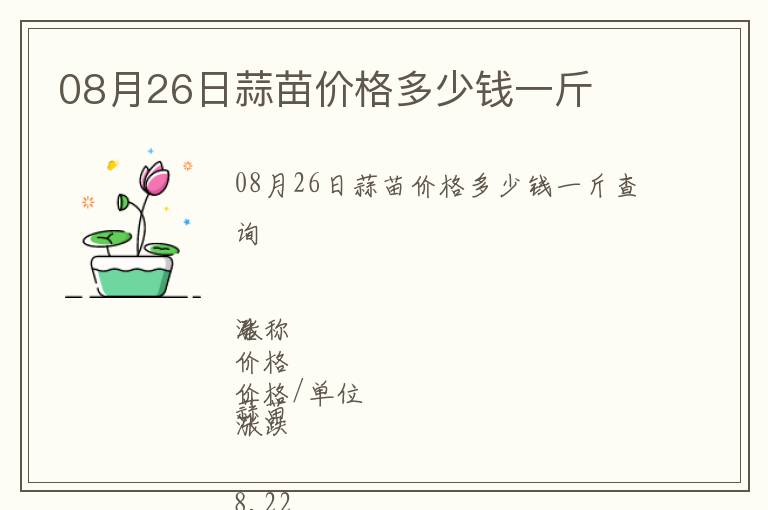 08月26日蒜苗價格多少錢一斤