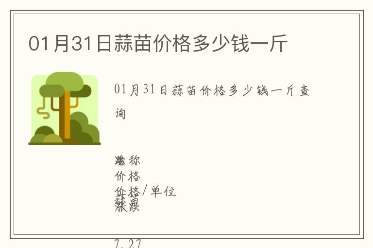 01月31日蒜苗價格多少錢一斤