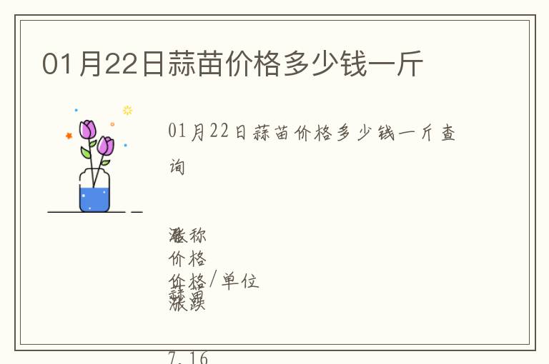 01月22日蒜苗價(jià)格多少錢一斤