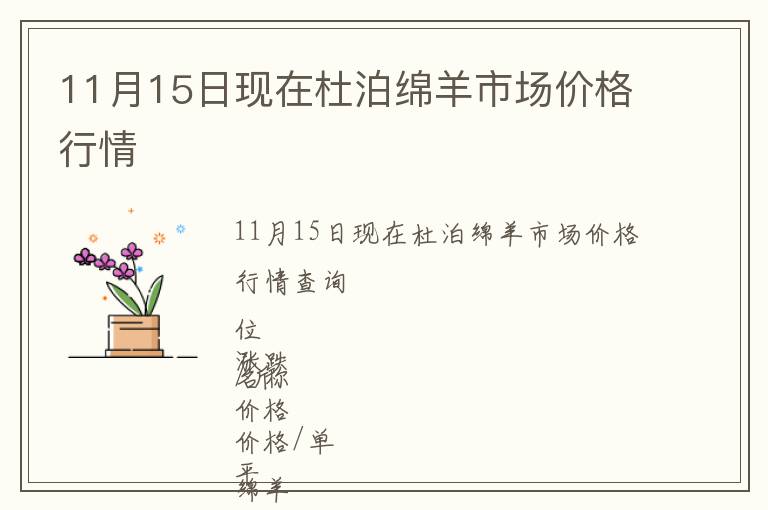 11月15日現(xiàn)在杜泊綿羊市場價格行情