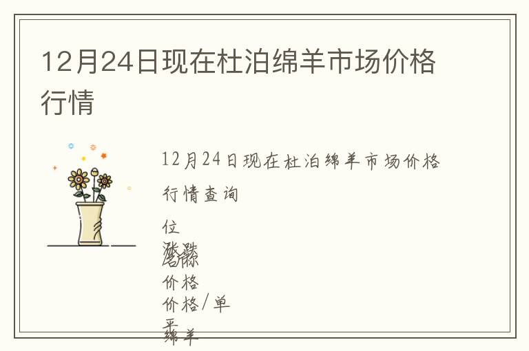 12月24日現(xiàn)在杜泊綿羊市場價格行情