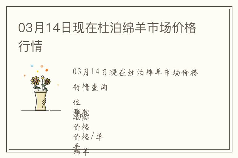 03月14日現在杜泊綿羊市場價格行情