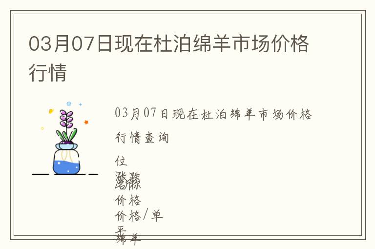 03月07日現在杜泊綿羊市場價格行情