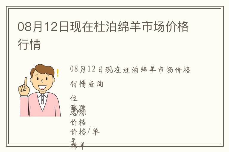 08月12日現在杜泊綿羊市場價格行情