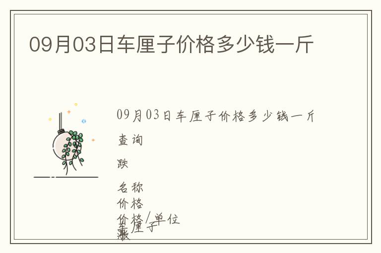 09月03日車?yán)遄觾r(jià)格多少錢一斤