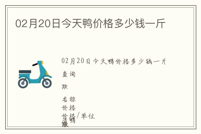 02月20日今天鴨價格多少錢一斤