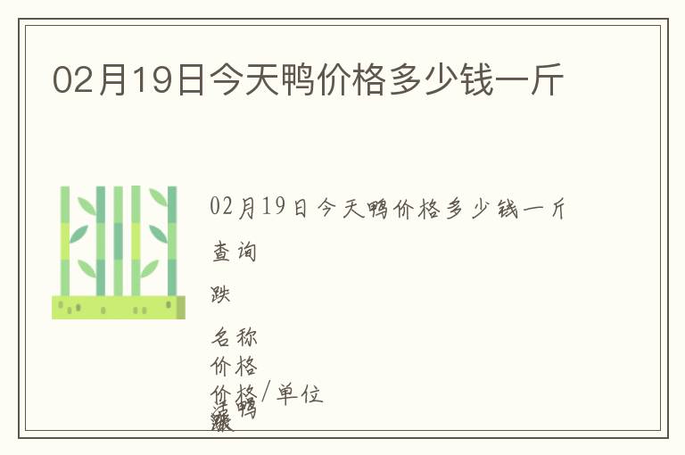 02月19日今天鴨價(jià)格多少錢(qián)一斤