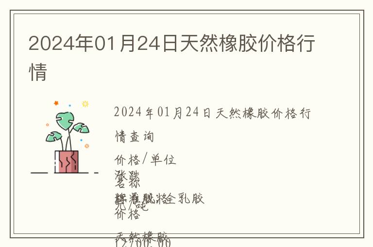 2024年01月24日天然橡膠價格行情