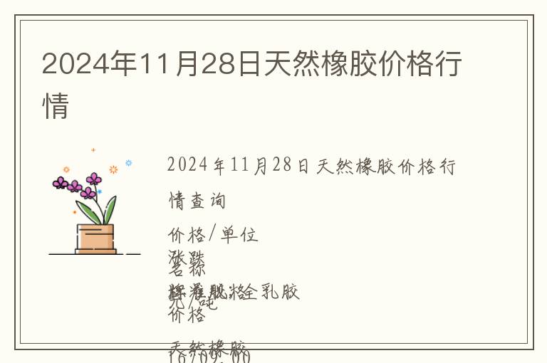 2024年11月28日天然橡膠價格行情