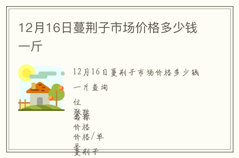 12月16日蔓荊子市場價格多少錢一斤