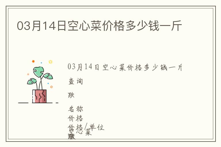 03月14日空心菜價格多少錢一斤