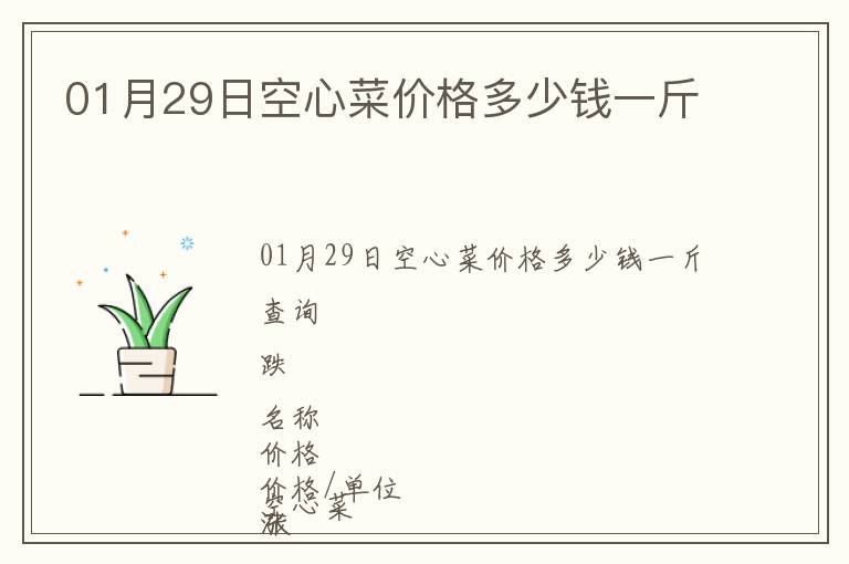 01月29日空心菜價格多少錢一斤
