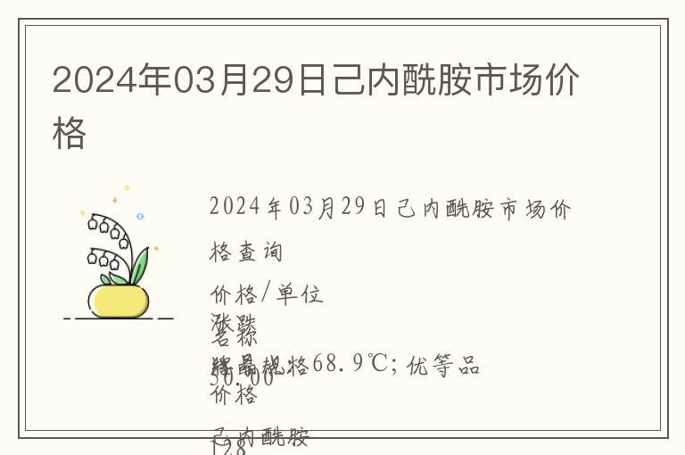 2024年03月29日己內(nèi)酰胺市場價格