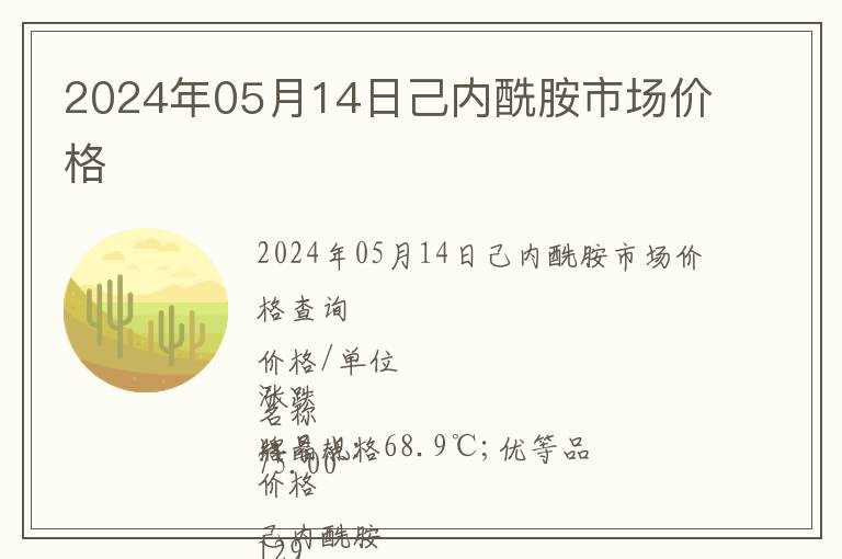 2024年05月14日己內酰胺市場價格