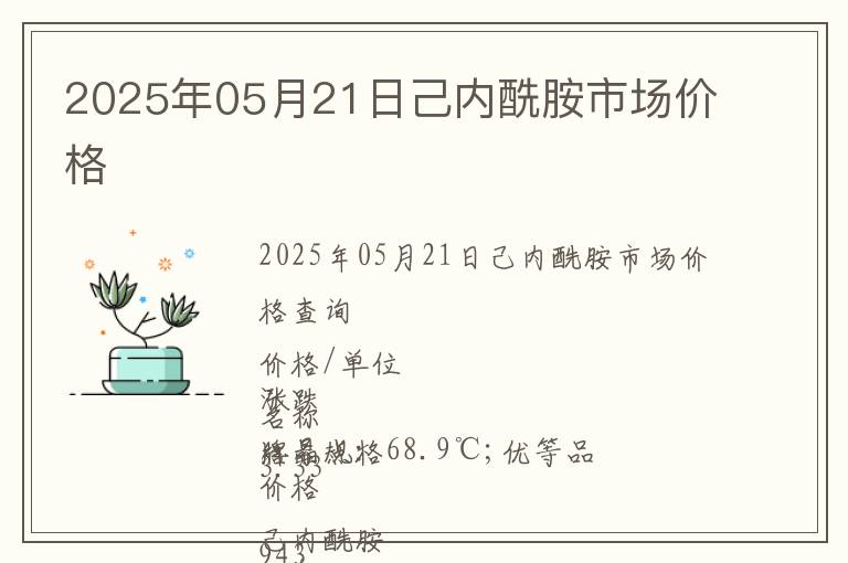 2025年05月21日己內(nèi)酰胺市場價格