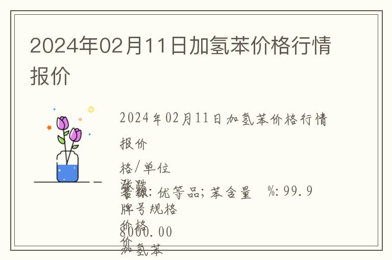 2024年02月11日加氫苯價(jià)格行情報(bào)價(jià)